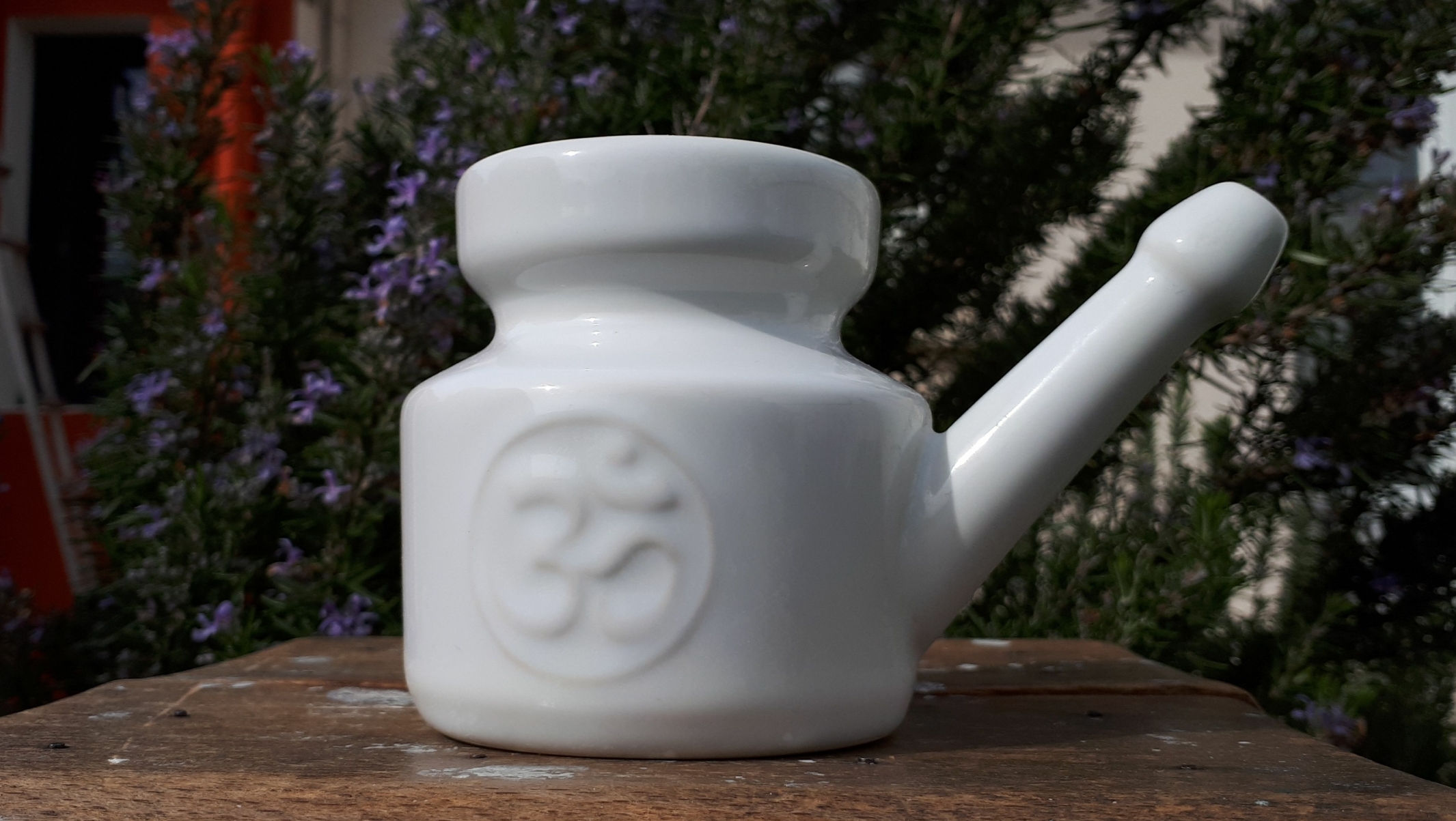 lota nettoyage du nez printemps ayurvéda