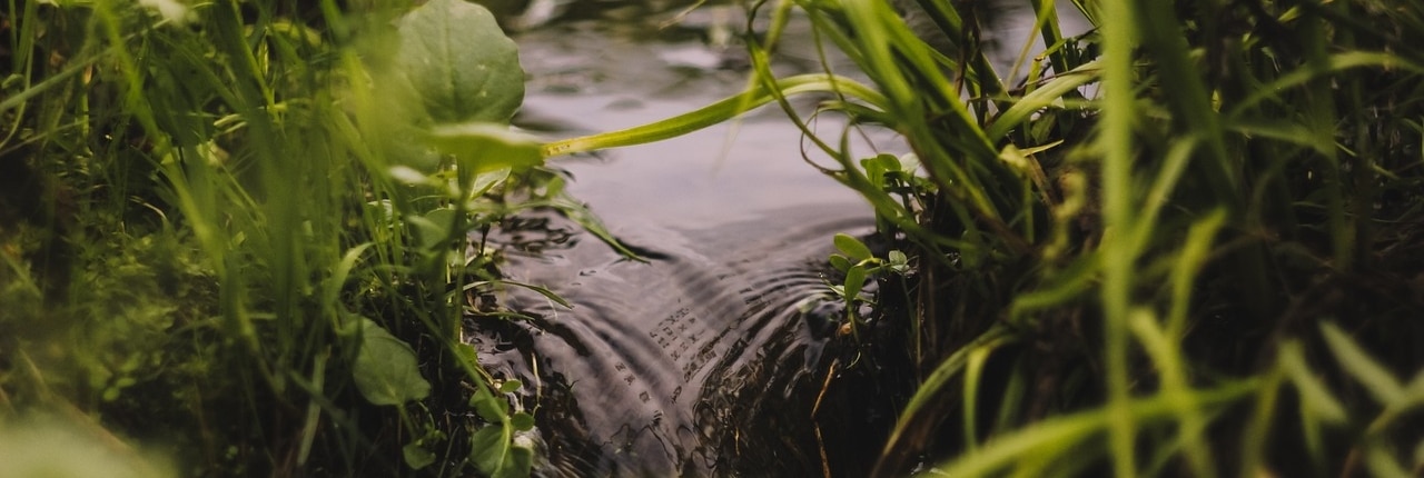 source d'eau pure