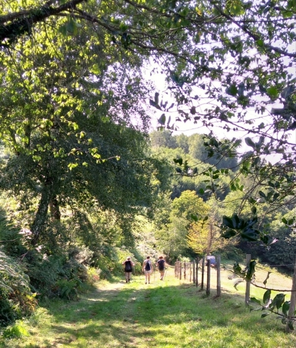 marche-scaled-e1641294237638