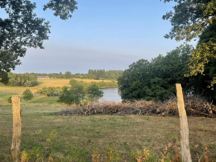 stage-yoga-aubarc-lac-marche-meditative