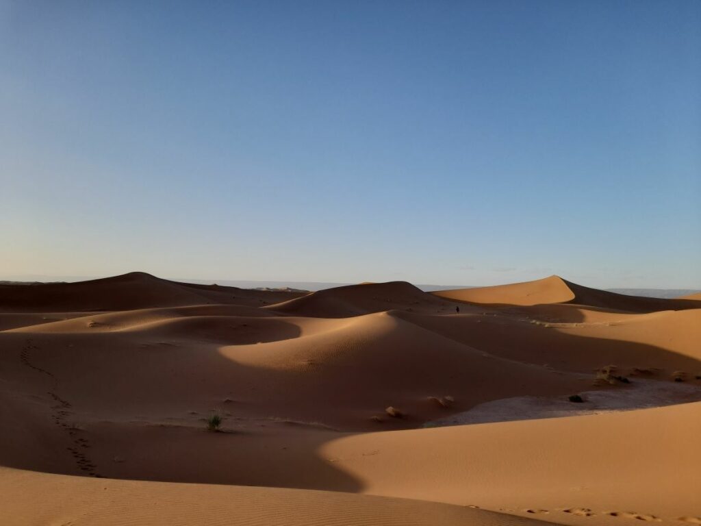 dunes