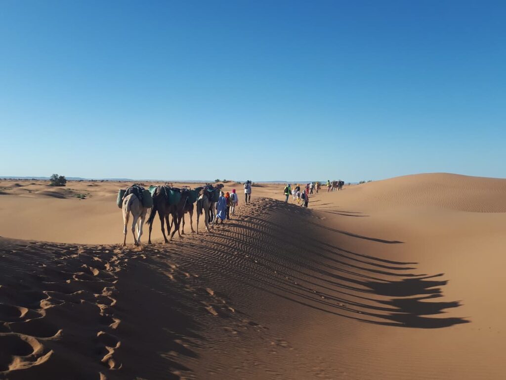 marche trek rando désert dromadaire
