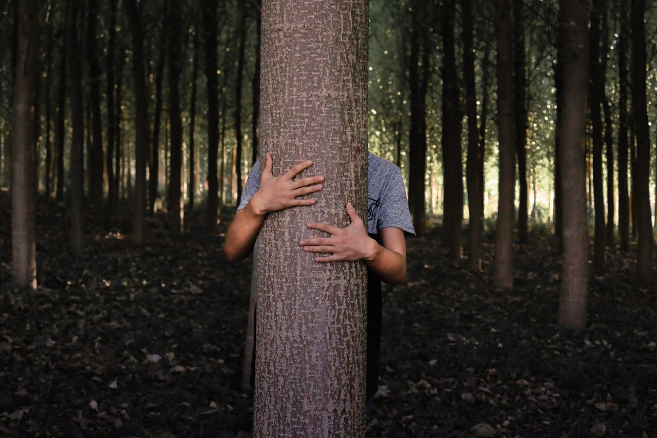 Les bienfaits de la forêt