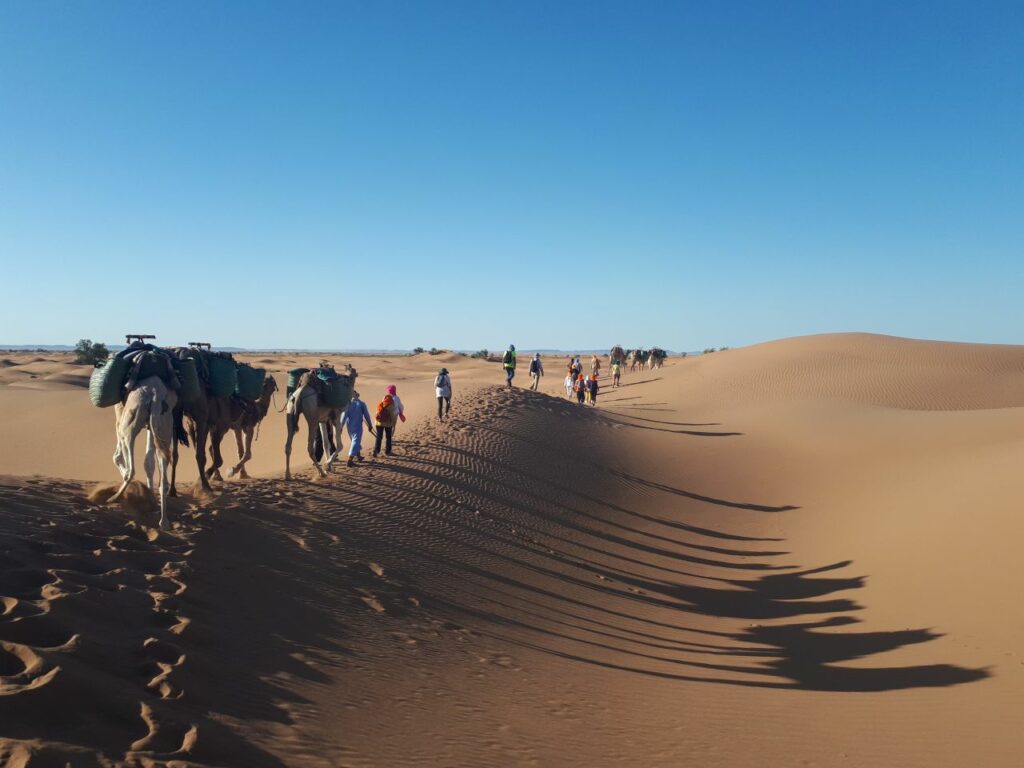 marche dans le désert bédouins et dromadaires