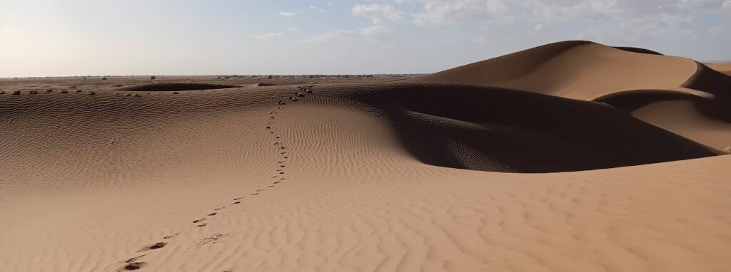 pas dans le sable, dune