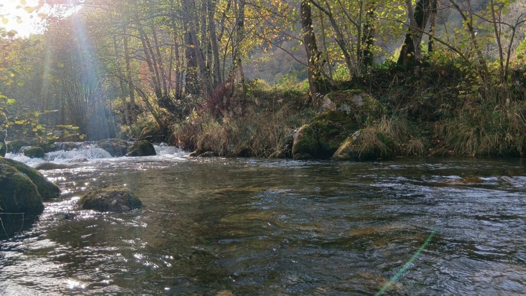 torrent dans les Pyrénées
